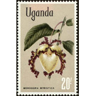 Calabash nutmeg (Monodora myristica) - East Africa / Uganda 1969 - 20