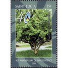 Calabash Tree - Caribbean / Saint Lucia 2019 - 25