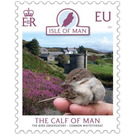 Calf of Man Bird Observatory : Common Whitethroat - Great Britain / British Territories / Isle of Man 2021