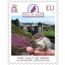 Calf of Man Bird Observatory : Common Whitethroat - Great Britain / British Territories / Isle of Man 2021