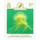 Calf of Man Wart Bank Marine Nature Reserve : Jellyfish - Great Britain / British Territories / Isle of Man 2021