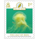 Calf of Man Wart Bank Marine Nature Reserve : Jellyfish - Great Britain / British Territories / Isle of Man 2021
