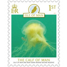 Calf of Man Wart Bank Marine Nature Reserve : Jellyfish - Great Britain / British Territories / Isle of Man 2021