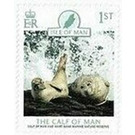 Calf of Man Wart Bank Marine Nature Reserve : Seals - Great Britain / British Territories / Isle of Man 2021