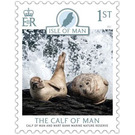 Calf of Man Wart Bank Marine Nature Reserve : Seals - Great Britain / British Territories / Isle of Man 2021