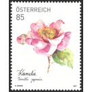 Camellia (Camellia japonensis) - Austria 2021 - 85