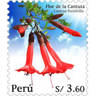 Cantua buxifolia - South America / Peru 2020 - 3.60