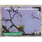 Captosis floribunda - Caribbean / Dominican Republic 2019 - 15