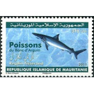 Carcharhinus brevipinna - West Africa / Mauritania 2011 - 370