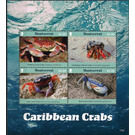 Caribbean Crabs - Caribbean / Montserrat 2017