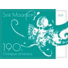 Caribbean Reef Octopus (Octopus briareus) - Caribbean / Sint Maarten 2021