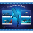 Caribbean Reef Shark (Carcharhinus perezi) - Caribbean / Antigua and Barbuda 2020