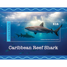 Caribbean Reef Shark (Carcharhinus perezi) - Caribbean / Antigua and Barbuda 2020