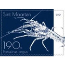 Caribbean Spiny Lobster (Panulirus argus) - Caribbean / Sint Maarten 2021