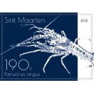 Caribbean Spiny Lobster (Panulirus argus) - Caribbean / Sint Maarten 2021