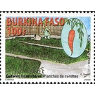 Carrots - West Africa / Burkina Faso 2011 - 100