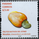 Cashew Apple (Anacardium occidentale) - Central America / Panama 2019 - 3