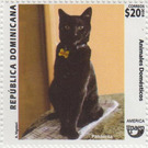 Cat - Caribbean / Dominican Republic 2020