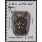 Cat - Central America / Honduras 2018 - 5