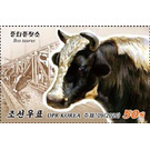 Cattle (Bos taurus) - North Korea 2020 - 50
