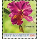 Cattleya - Caribbean / Sint Maarten 2020