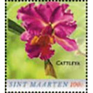 Cattleya - Caribbean / Sint Maarten 2020