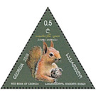 Caucasian squirrel (Sciurus anomalus) - Georgia 2018 - 0.50