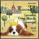 Cavalier King Charles Spaniel - Croatia 2019 - 3.10