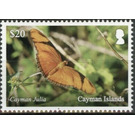 Cayman Julia Butterfly - Caribbean / Cayman Islands 2020 - 20