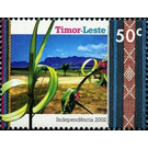 Ceremonial grass wreaths - East Timor 2002 - 50