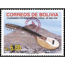 Charango and Mount Potosi - South America / Bolivia 2019 - 6