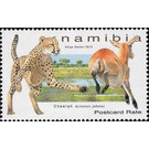Cheetah (Acinonyx jubatus) - South Africa / Namibia 2019