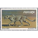 Cheetah (Acinonyx jubatus) - South Africa / Namibia / South-West Africa 1989 - 10