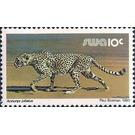 Cheetah (Acinonyx jubatus) - South Africa / Namibia / South-West Africa 1989 - 10