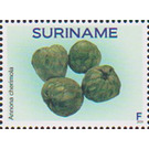 Cherimoya (Annona cherimola) - South America / Suriname 2020