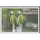 Chestnut-Fronted Macaw - Polynesia / Penrhyn 2019 - 29.90
