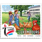 Children Feeding Chickens - Luxembourg 2020 - 1.05