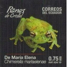 Chimerella mariaelenae - South America / Ecuador 2019 - 0.75