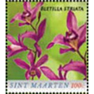 Chinese ground orchid (Bletilla striata) - Caribbean / Sint Maarten 2020
