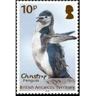 Chinstrap Penguin - British Antarctic Territory 2018 - 10