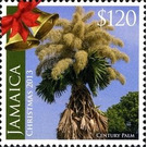 Christmas 2013 - Century Palm - Caribbean / Jamaica 2013 - 120