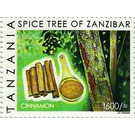 Cinnamon - East Africa / Tanzania 2018