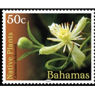 Clematis plukenetii - Caribbean / Bahamas 2019 - 50