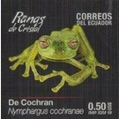 Cochran Frog (Nymphargus cochranae) - South America / Ecuador 2019 - 0.50