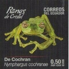 Cochran Frog (Nymphargus cochranae) - South America / Ecuador 2019 - 0.50