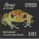 Cochranella litoralis - South America / Ecuador 2019 - 0.25