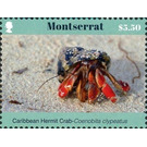Coenobita clypeatus - Caribbean / Montserrat 2017 - 5.50