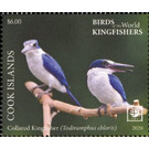 Collared Kkingfisher (Todiramphus chloris) - Polynesia / Cook Islands 2020 - 4