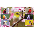 Colorfull birds of the world - Micronesia / Palau 2018