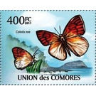 Colotis zoe - East Africa / Comoros 2011 - 400